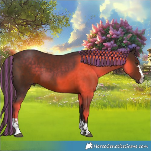 Horse Color:Painted Liver Chestnut 