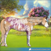 Horse Color:Painted Palomino Ice Sabino Splash