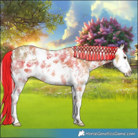 Horse Color:Painted Palomino Ice Sabino Splash 