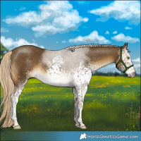 Horse Color:White Spotted Chocolate Palomino Mushroom Sabino