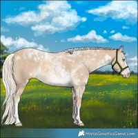 Horse Color:White Spotted Cremello Tobiano 