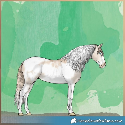 Horse Color:Perlino Dun Tobiano Frame Appaloosa 