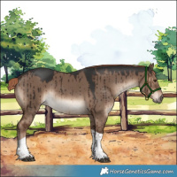 Horse Color:Liver Red Dun Tobiano Brindle