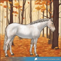 Horse Color:White Spotted Chocolate Palomino Roan Pearl 