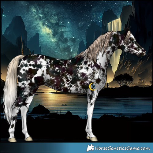Horse Color:White Spotted Midnight Liver Chestnut Ice