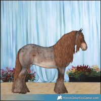 Horse Color:Liver Red Roan 