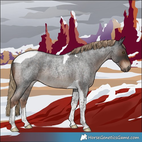 Horse Color:Liver Red Roan Tobiano