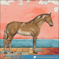 Horse Color:White Spotted Chocolate Palomino Dun Rabicano 