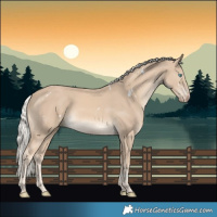Horse Color:White Spotted Cremello 