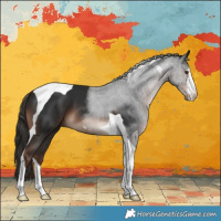 Horse Color:White Spotted Liver Chestnut Tobiano 