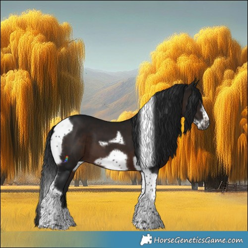Horse Color:Gray Brown Tobiano Frame 