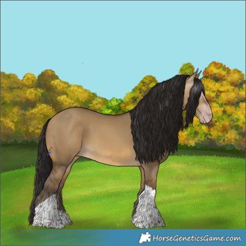 Horse Color:Gray Sable Cream Champagne Dun Sabino Tobiano 