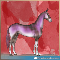 Horse Color:Plaid  Liver Red Onyx Tobiano 