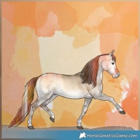 Horse Color:Plaid Liver Red Dun Onyx Tobiano Rabicano