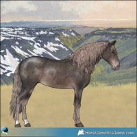 Horse Color:Platinum Liver Chestnut Rabicano 