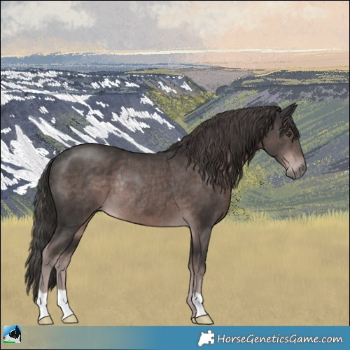 Horse Color:Platinum Liver Chestnut Rabicano 