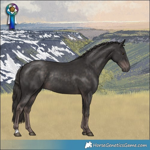 Horse Color:Platinum Liver Chestnut Rabicano 