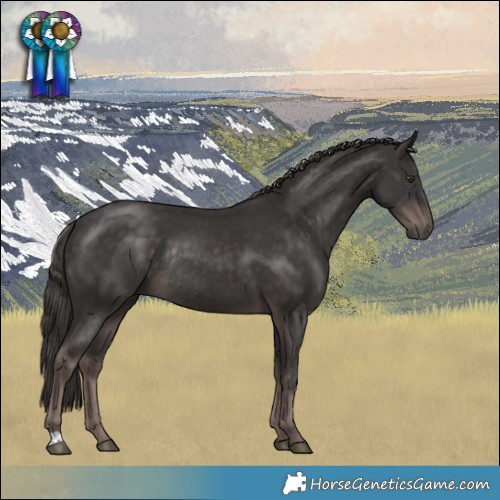 Horse Color:Platinum Liver Chestnut Rabicano 
