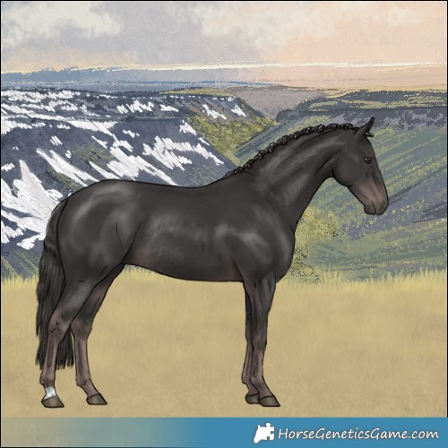 Horse Color:Platinum Liver Chestnut Rabicano 