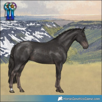 Horse Color:Platinum Liver Chestnut Rabicano 