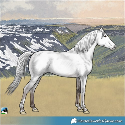 Horse Color:Gray Platinum Liver Red Dun Tobiano Rabicano 