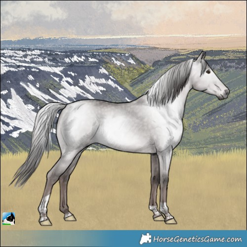 Horse Color:Gray Platinum Liver Red Dun Tobiano Rabicano