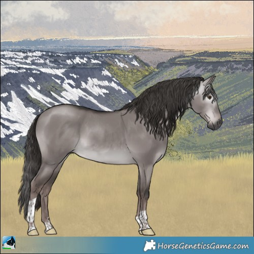 Horse Color:Gray Platinum Liver Red Dun Tobiano Rabicano 