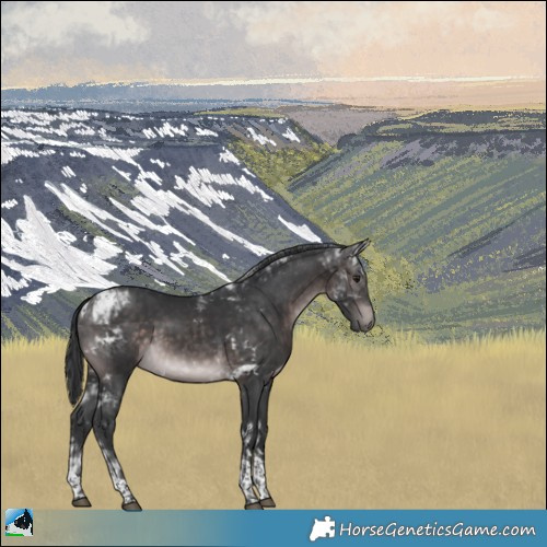 Horse Color:Platinum Brown Mushroom Tobiano Rabicano 