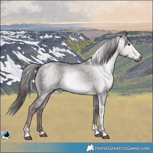 Horse Color:Gray Platinum Liver Red Dun Tobiano Rabicano 