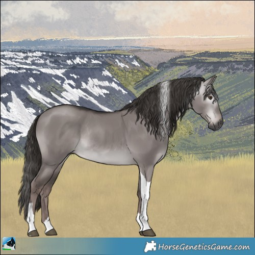 Horse Color:Gray Platinum Liver Red Dun Tobiano Rabicano 
