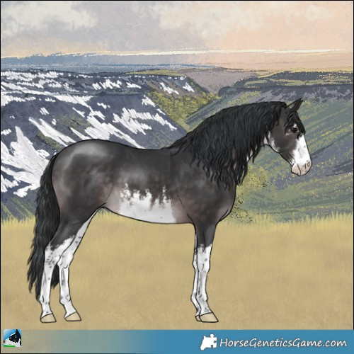 Horse Color:Platinum White Spotted Brown 