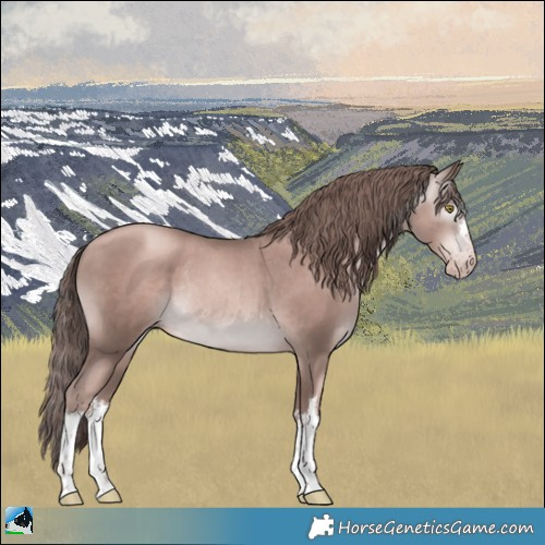 Horse Color:Gray Platinum White Spotted Gold Champagne Rabicano 