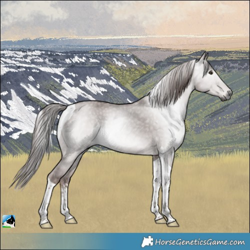 Horse Color:Gray Platinum White Spotted Red Dun Tobiano Rabicano 