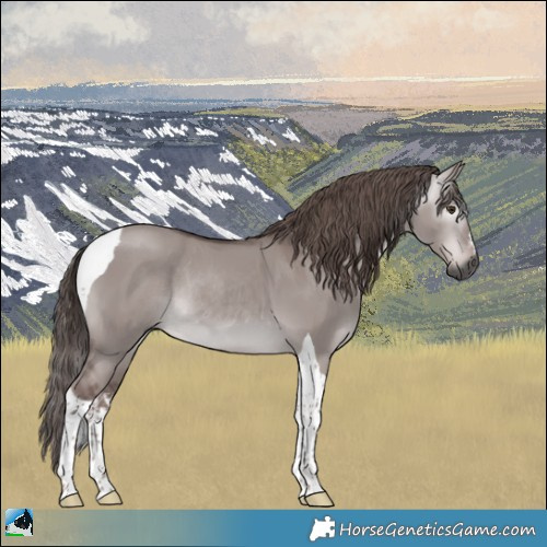 Horse Color:Gray Platinum White Spotted Red Dun Tobiano Rabicano 
