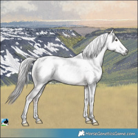 Horse Color:Gray Platinum White Spotted Red Dun Tobiano Rabicano 