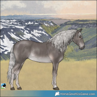Horse Color:Platinum Chocolate Palomino Rabicano
