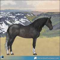 Horse Color:Platinum Brown Tobiano Rabicano