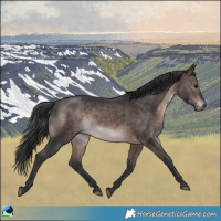 Horse Color:Platinum Brown Rabicano 