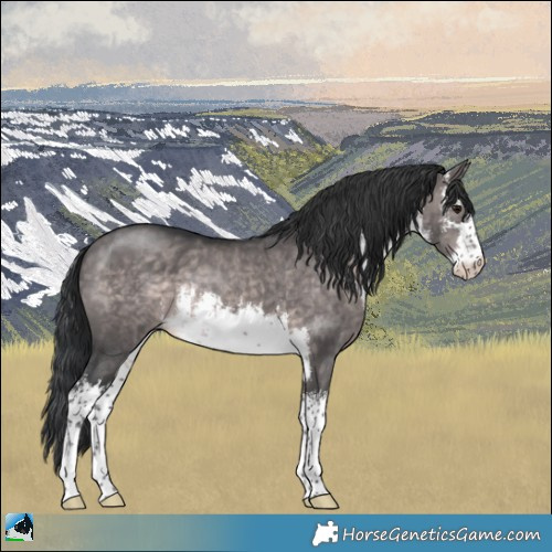Horse Color:Platinum White Spotted Brown Dun 
