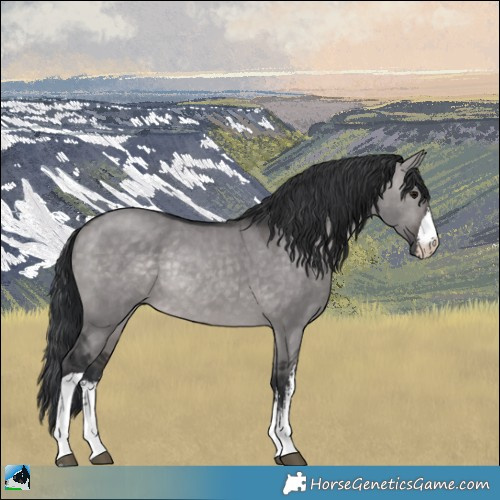 Horse Color:Platinum White Spotted Brown Dun Rabicano