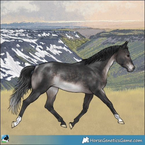 Horse Color:Platinum Brown Rabicano 
