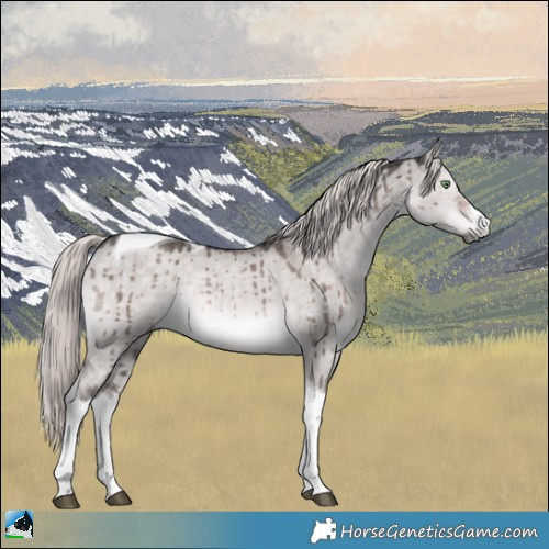 Horse Color:Platinum White Spotted Chocolate Palomino Dun Tobiano Rabicano Brindle