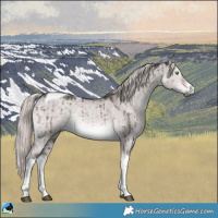 Horse Color:Platinum White Spotted Chocolate Palomino Dun Tobiano Rabicano Brindle 