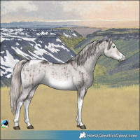 Horse Color:Platinum White Spotted Chocolate Palomino Dun Tobiano Rabicano Brindle 