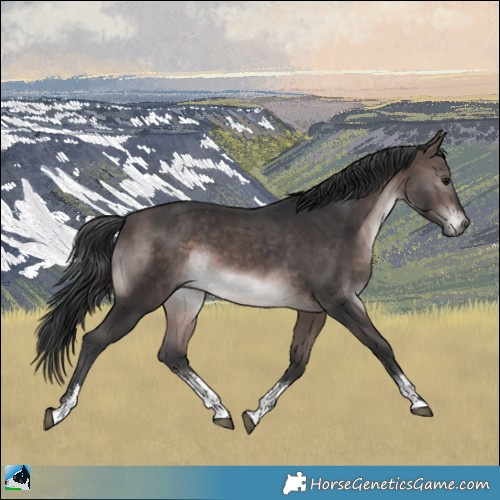 Horse Color:Platinum Brown Sabino 