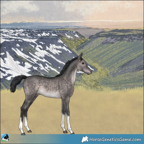 Horse Color:Platinum White Spotted Brown Dun Tobiano Rabicano 