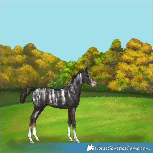 Horse Color:Powder White Liver Chestnut 