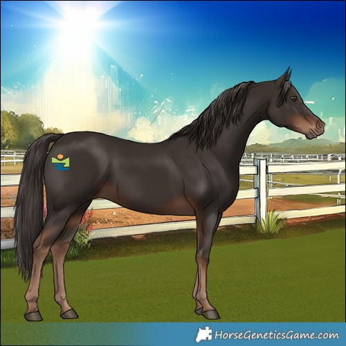 Horse Color:Liver Chestnut 