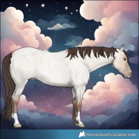 Horse Color:Classic Champagne Roan Dun 