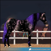 Horse Color:Void Watercolor White Spotted Bay Dun 